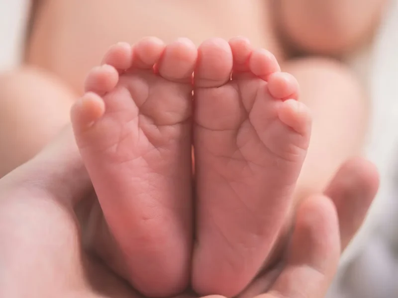 Supporting Families Through the Postpartum Journey